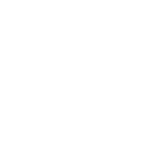 Icono Customer Experience